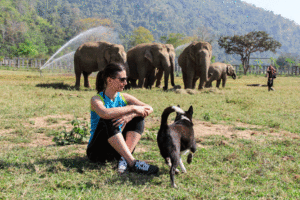 Elephant Nature Park